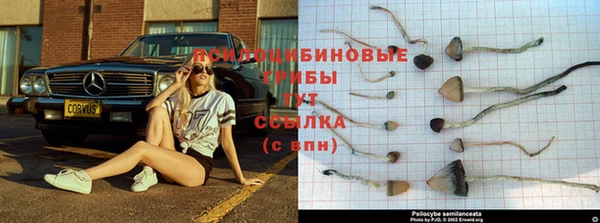 крисы Алексин